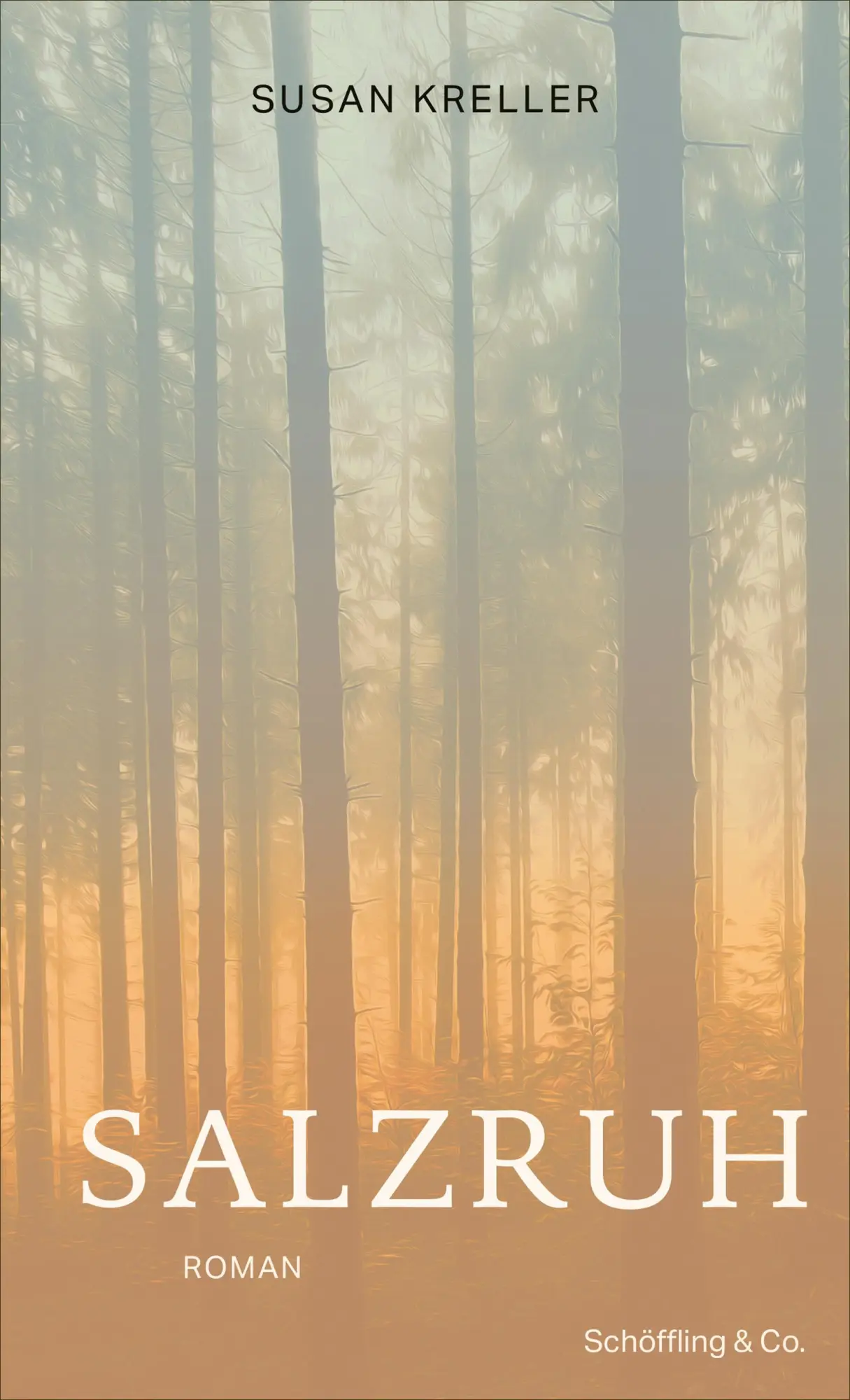 Cover: 9783895610295 | Salzruh | Susan Kreller | Buch | 272 S. | Deutsch | 2023