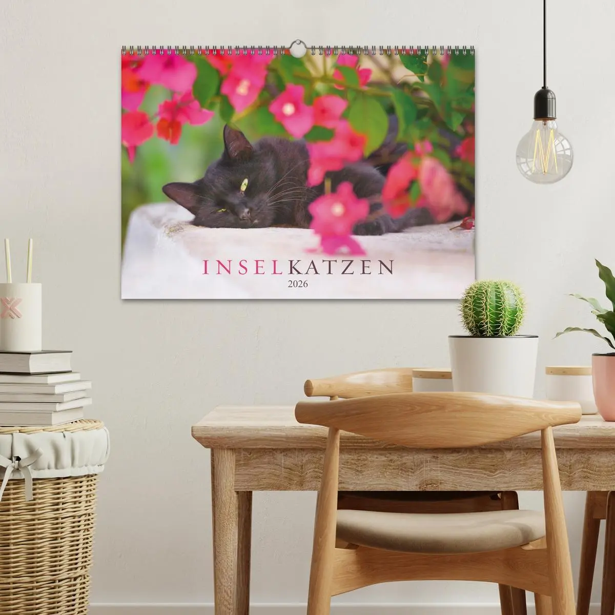 Bild: 9783457570395 | Inselkatzen (Wandkalender 2026 DIN A3 quer), CALVENDO Monatskalender