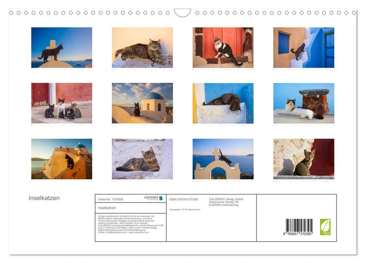 Bild: 9783457570395 | Inselkatzen (Wandkalender 2026 DIN A3 quer), CALVENDO Monatskalender