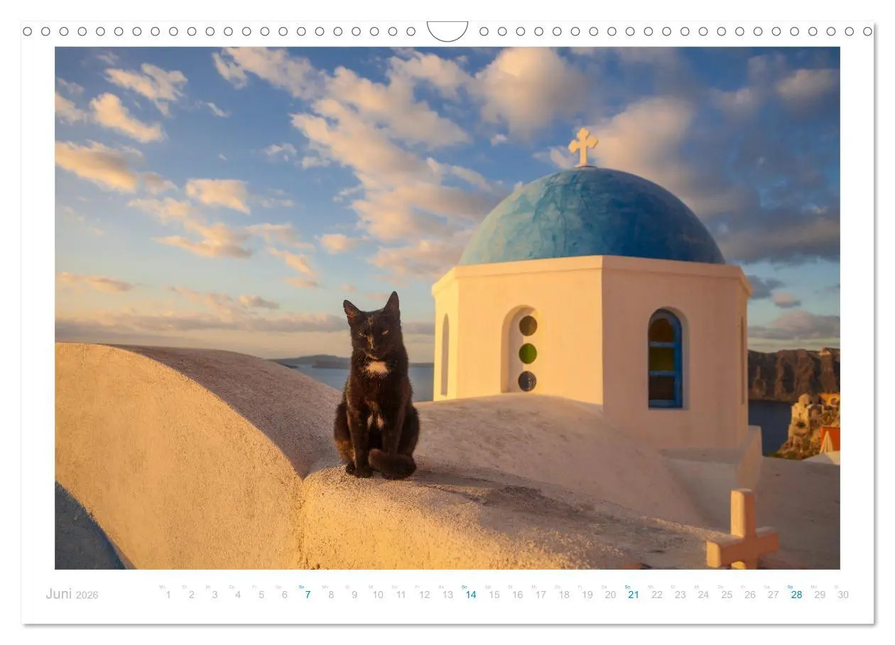 Bild: 9783457570395 | Inselkatzen (Wandkalender 2026 DIN A3 quer), CALVENDO Monatskalender