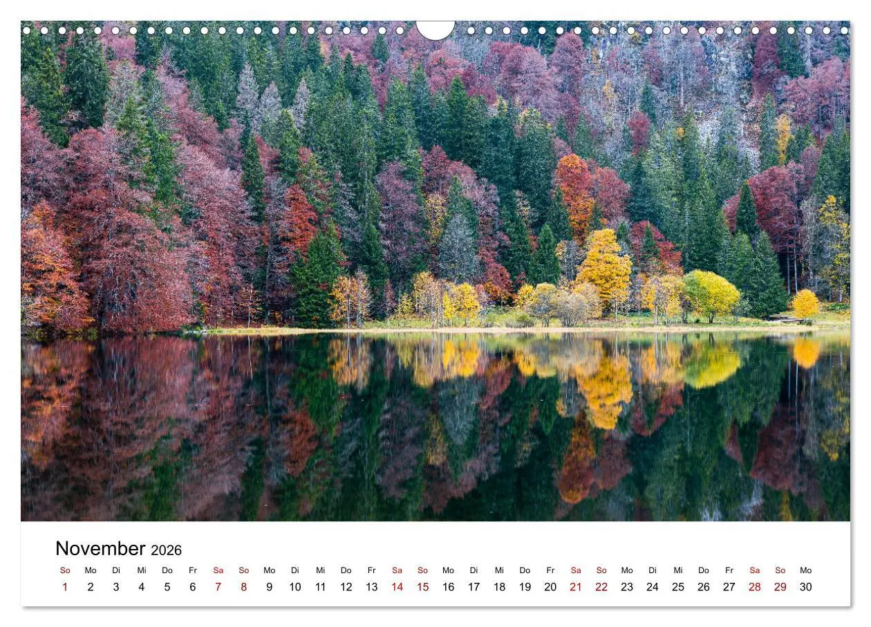 Bild: 9783457640395 | Freiburg, Drumherum (Wandkalender 2026 DIN A3 quer), CALVENDO...