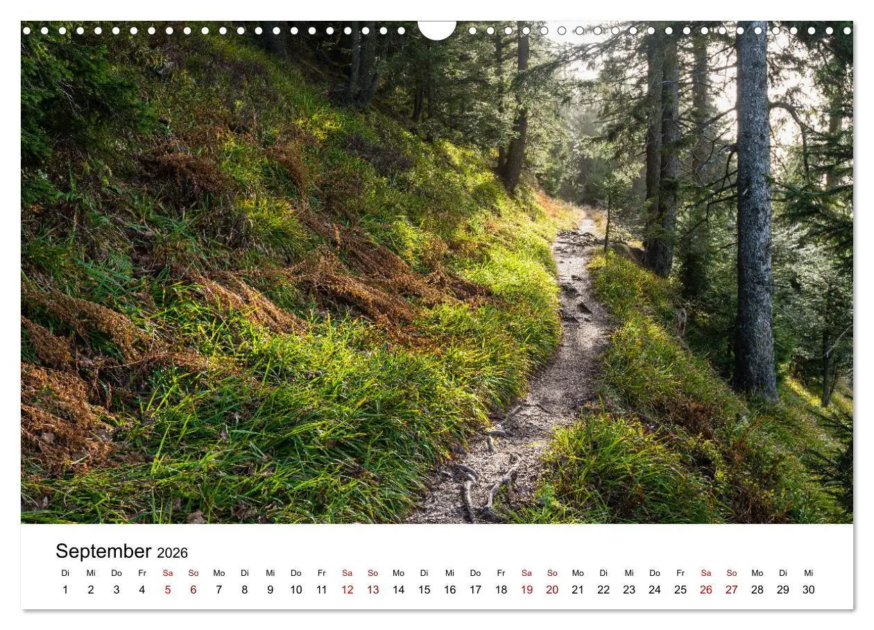 Bild: 9783457640395 | Freiburg, Drumherum (Wandkalender 2026 DIN A3 quer), CALVENDO...