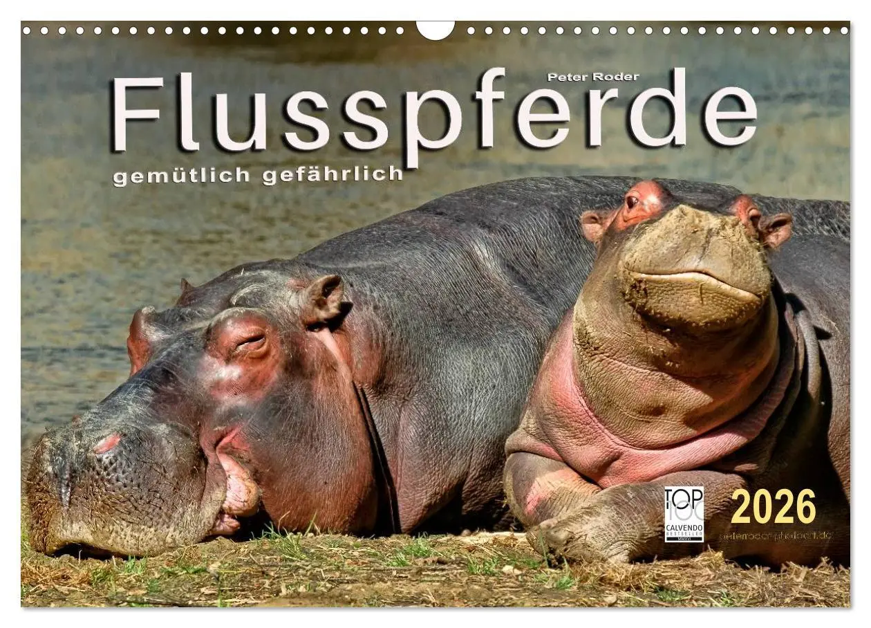 Cover: 9783457950395 | Flusspferde - gemütlich gefährlich (Wandkalender 2026 DIN A3 quer),...