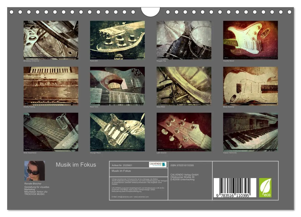 Bild: 9783516110395 | Musik im Fokus (Wandkalender 2026 DIN A4 quer), CALVENDO...