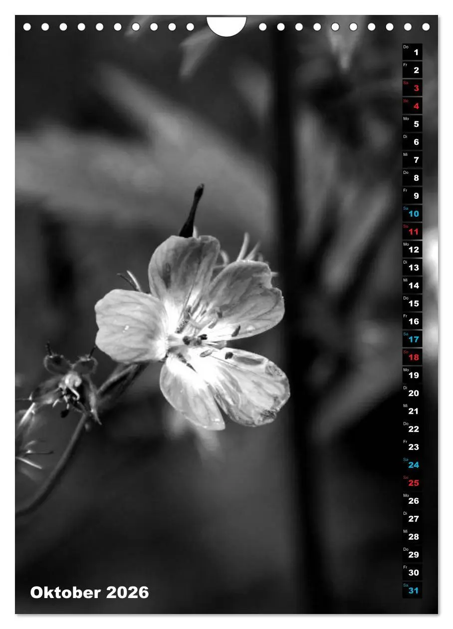 Bild: 9783516420395 | Blumige Graustufen - Schwarz und Weiß (Wandkalender 2026 DIN A4...