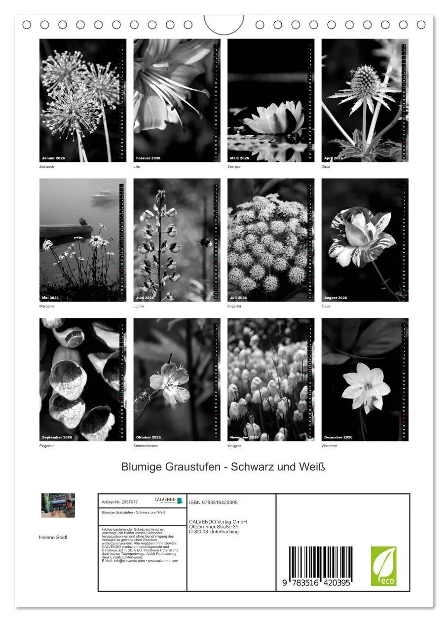 Bild: 9783516420395 | Blumige Graustufen - Schwarz und Weiß (Wandkalender 2026 DIN A4...