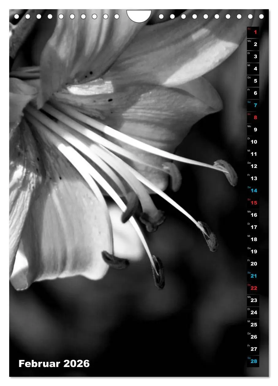 Bild: 9783516420395 | Blumige Graustufen - Schwarz und Weiß (Wandkalender 2026 DIN A4...