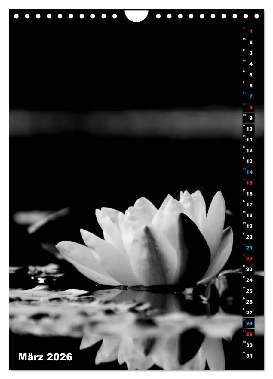 Bild: 9783516420395 | Blumige Graustufen - Schwarz und Weiß (Wandkalender 2026 DIN A4...