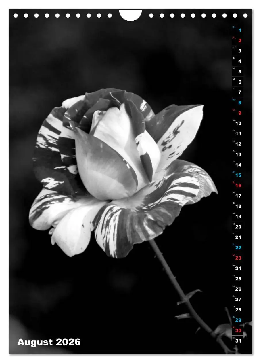 Bild: 9783516420395 | Blumige Graustufen - Schwarz und Weiß (Wandkalender 2026 DIN A4...