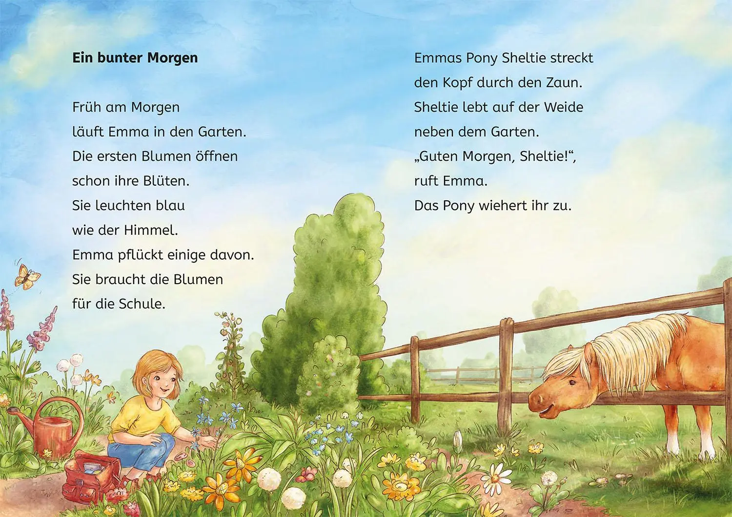 Bild: 9783440180495 | Sheltie, Bücherhelden 1. Klasse, Sheltie in der Schule | Kessel | Buch