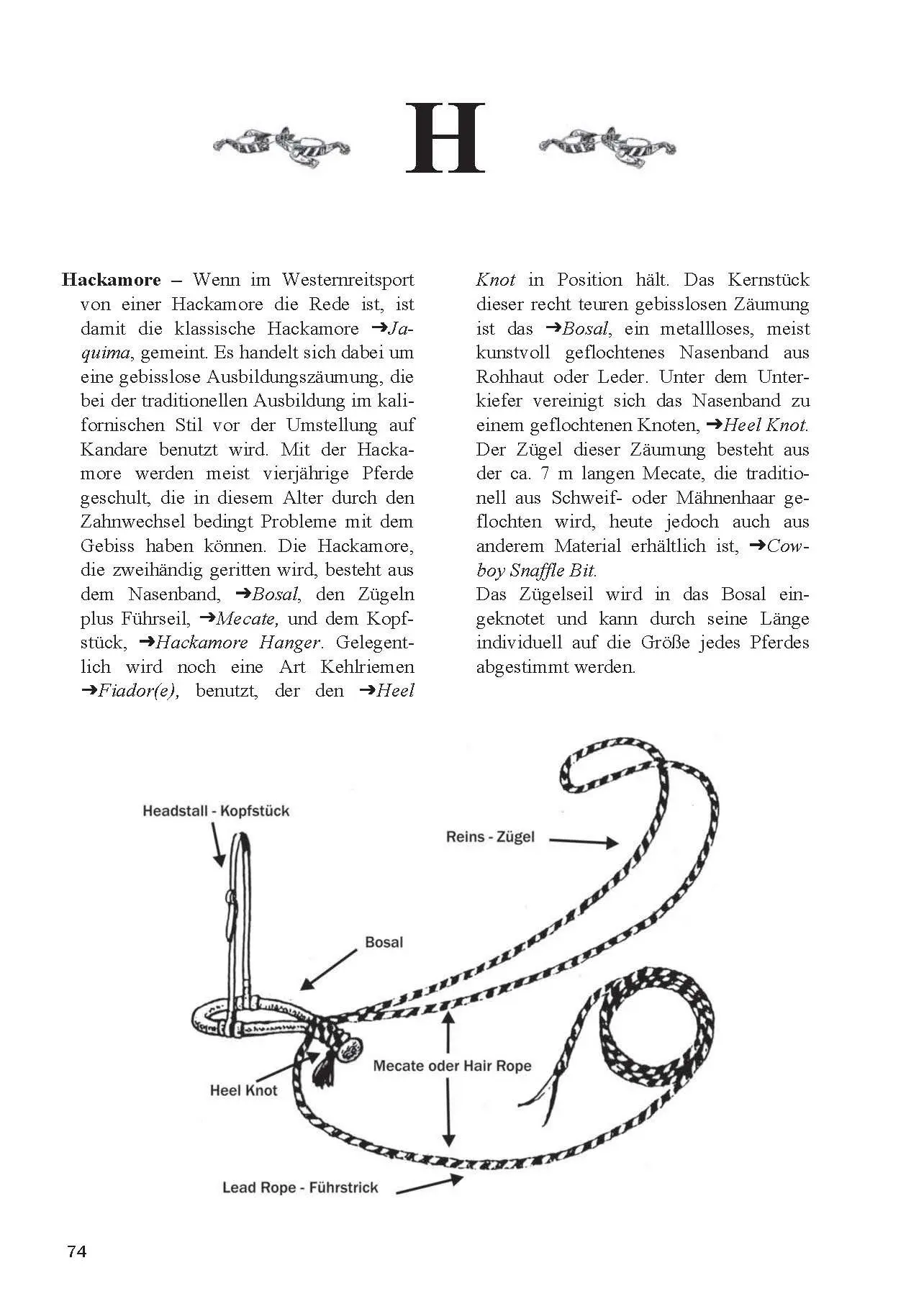 Bild: 9783946860495 | Lexikon Westernreiten | Praxiswissen von A - Z | Ute Tietje | Buch