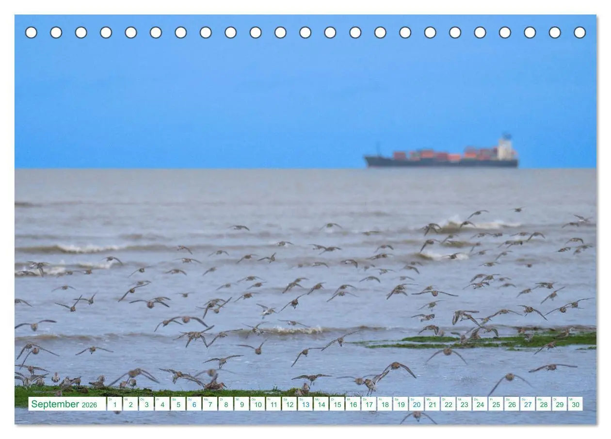 Bild: 9783457480595 | Schillig und Horumersiel - Im Wangerland unterwegs (Tischkalender...