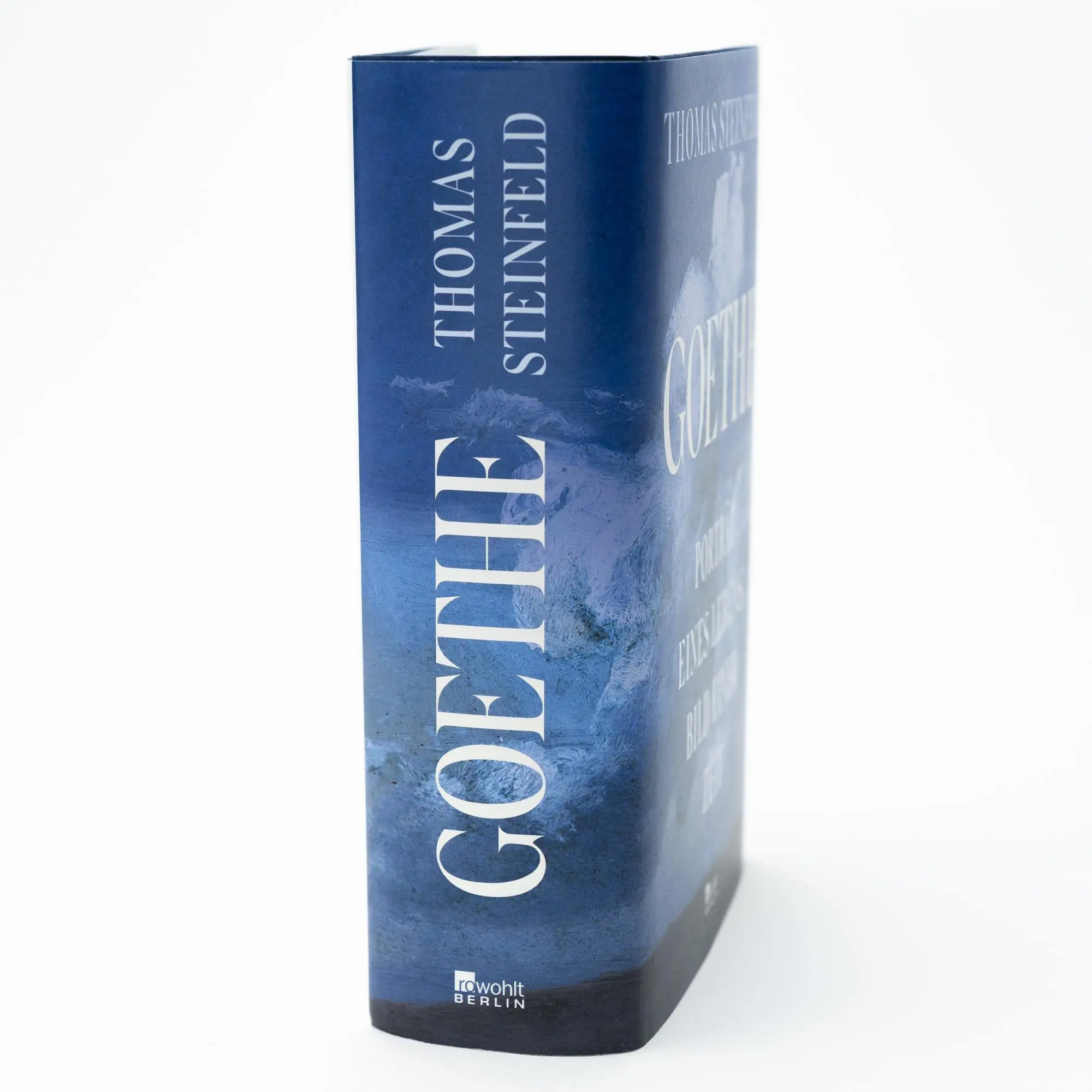 Bild: 9783737100595 | Goethe | Thomas Steinfeld | Buch | 784 S. | Deutsch | 2024