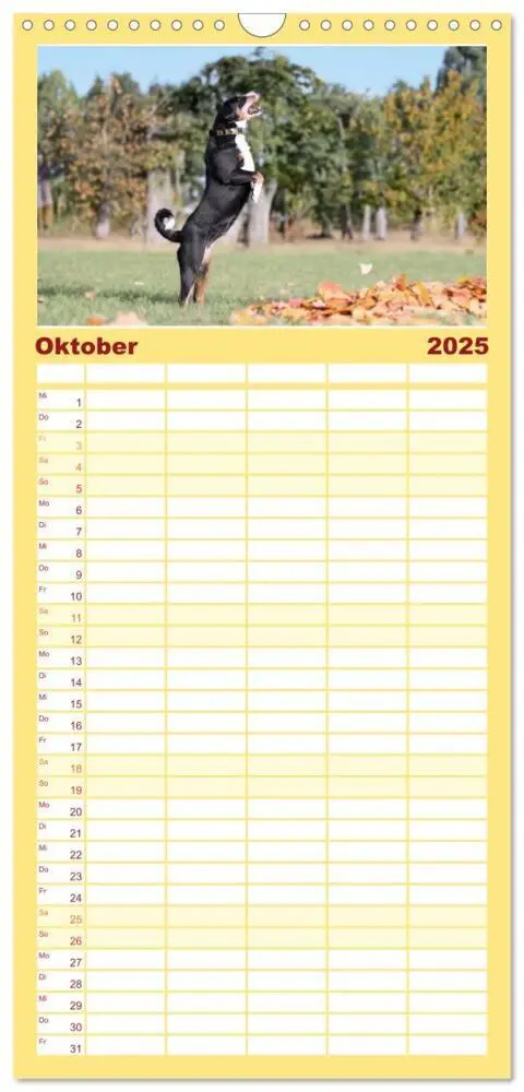 Bild: 9783457090695 | Familienplaner 2025 - Appenzeller Sennenhunde - Fröhliche Kameraden...