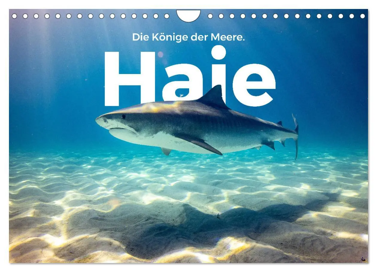 Cover: 9783457610695 | Haie - Könige der Meere. (Wandkalender 2026 DIN A4 quer), CALVENDO...