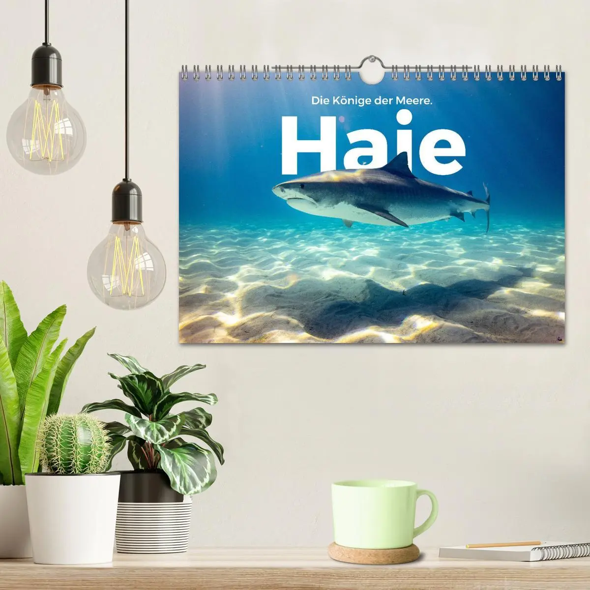 Bild: 9783457610695 | Haie - Könige der Meere. (Wandkalender 2026 DIN A4 quer), CALVENDO...