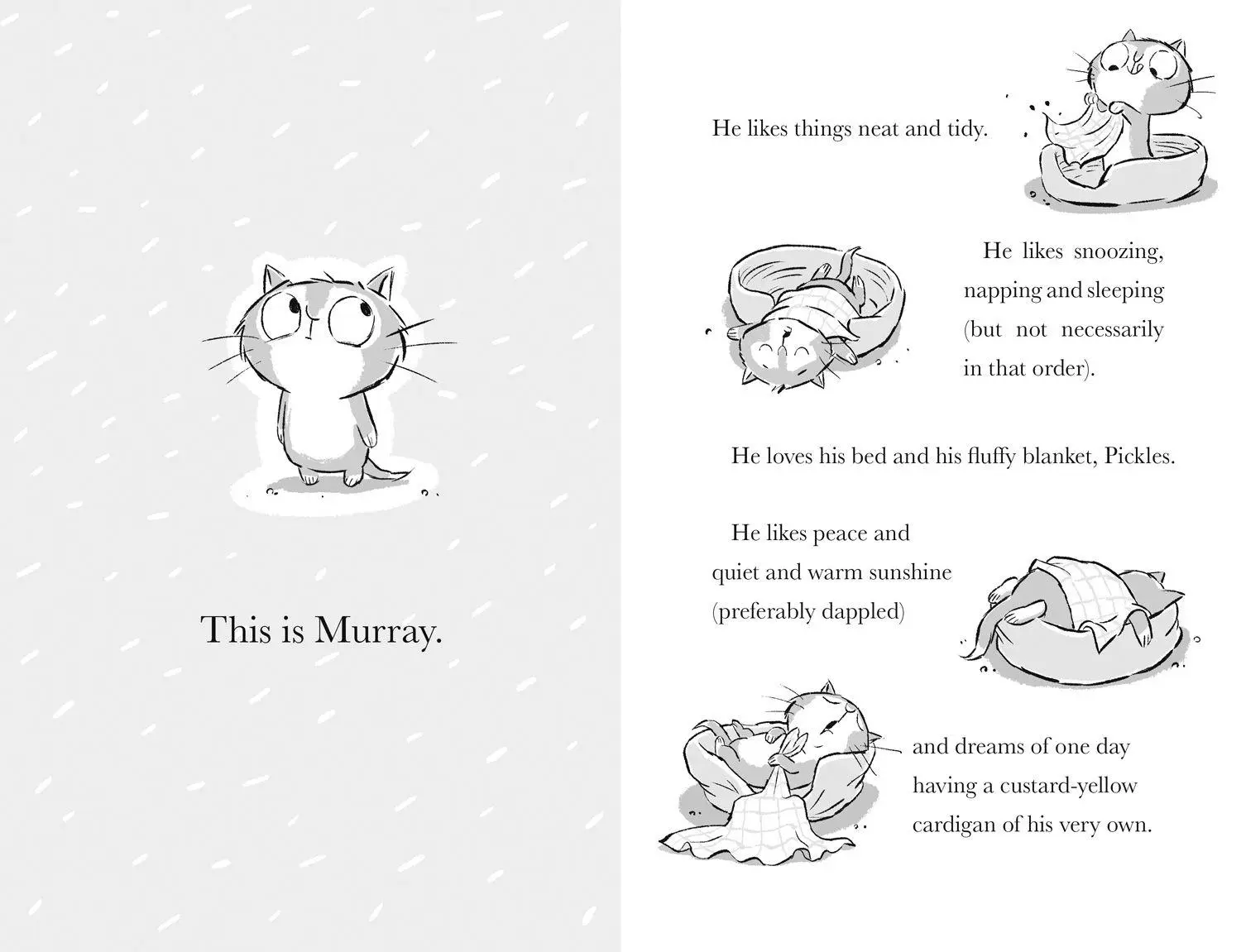 Bild: 9780008740795 | Murray the Ghosthunter | Adam Stower | Taschenbuch | Murray and Bun
