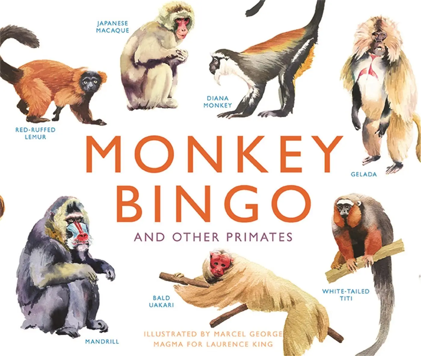 Cover: 9781786270795 | Monkey Bingo | And Other Primates | Marcel George | Spiel | Brettspiel