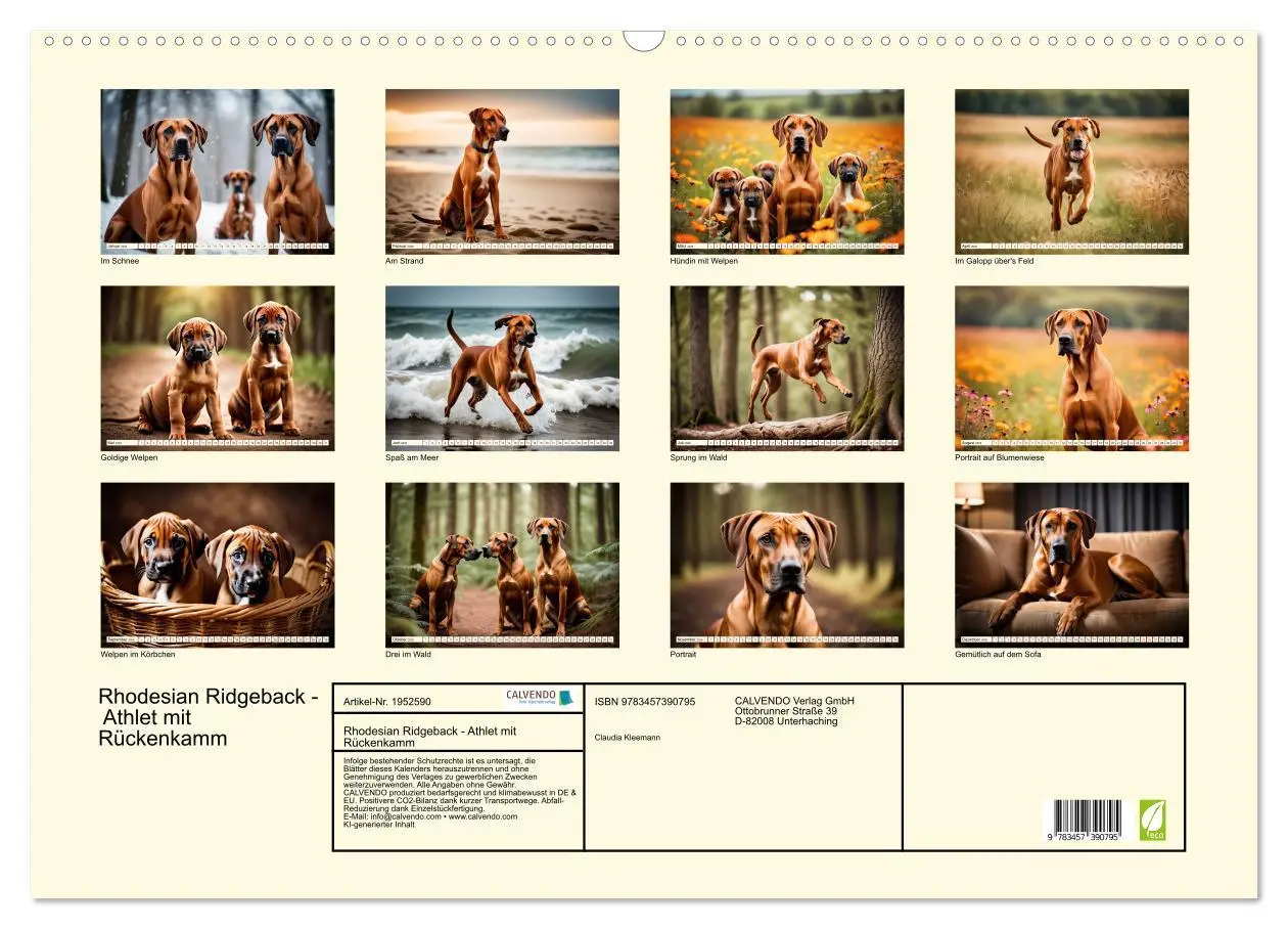 Bild: 9783457390795 | Rhodesian Ridgeback - Athlet mit Rückenkamm (Wandkalender 2026 DIN...