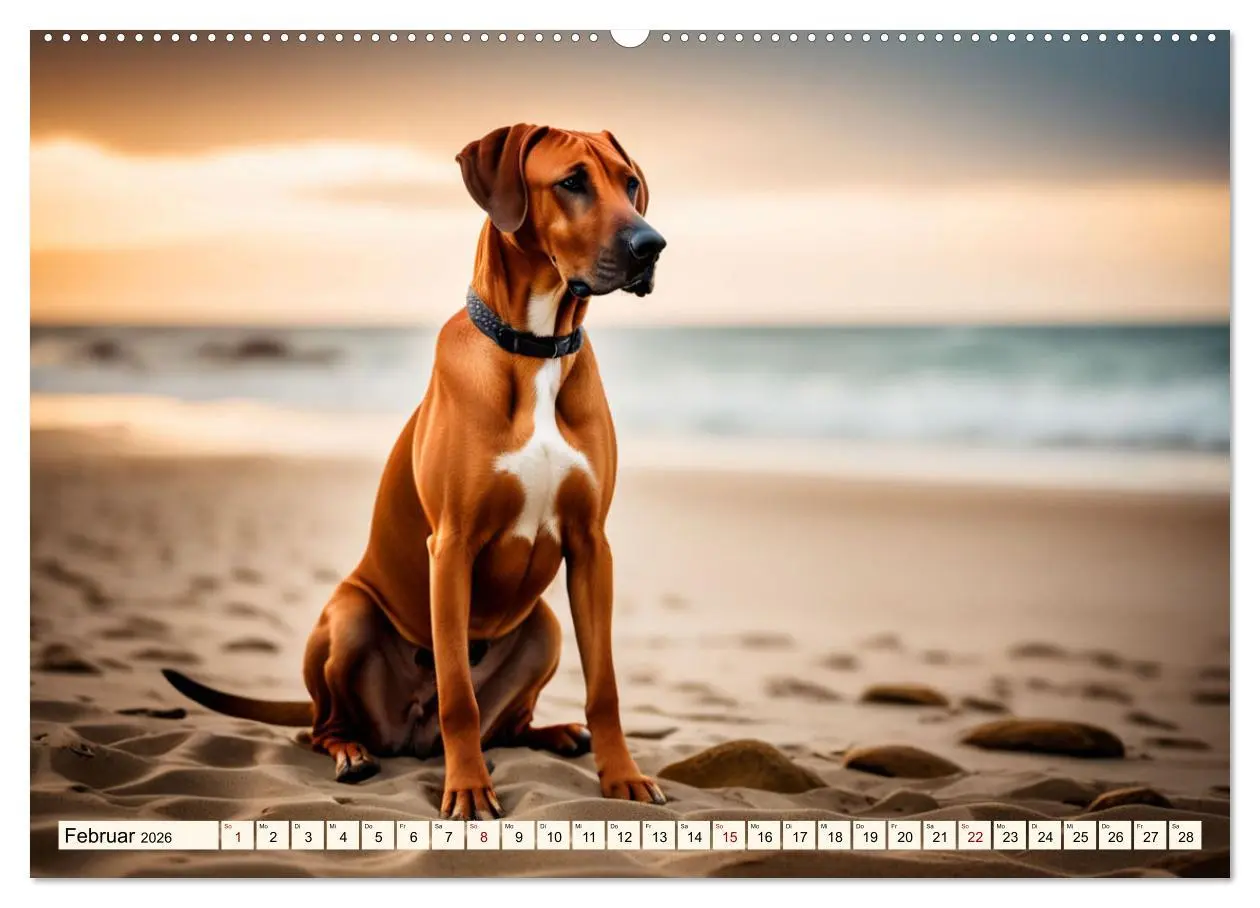 Bild: 9783457390795 | Rhodesian Ridgeback - Athlet mit Rückenkamm (Wandkalender 2026 DIN...