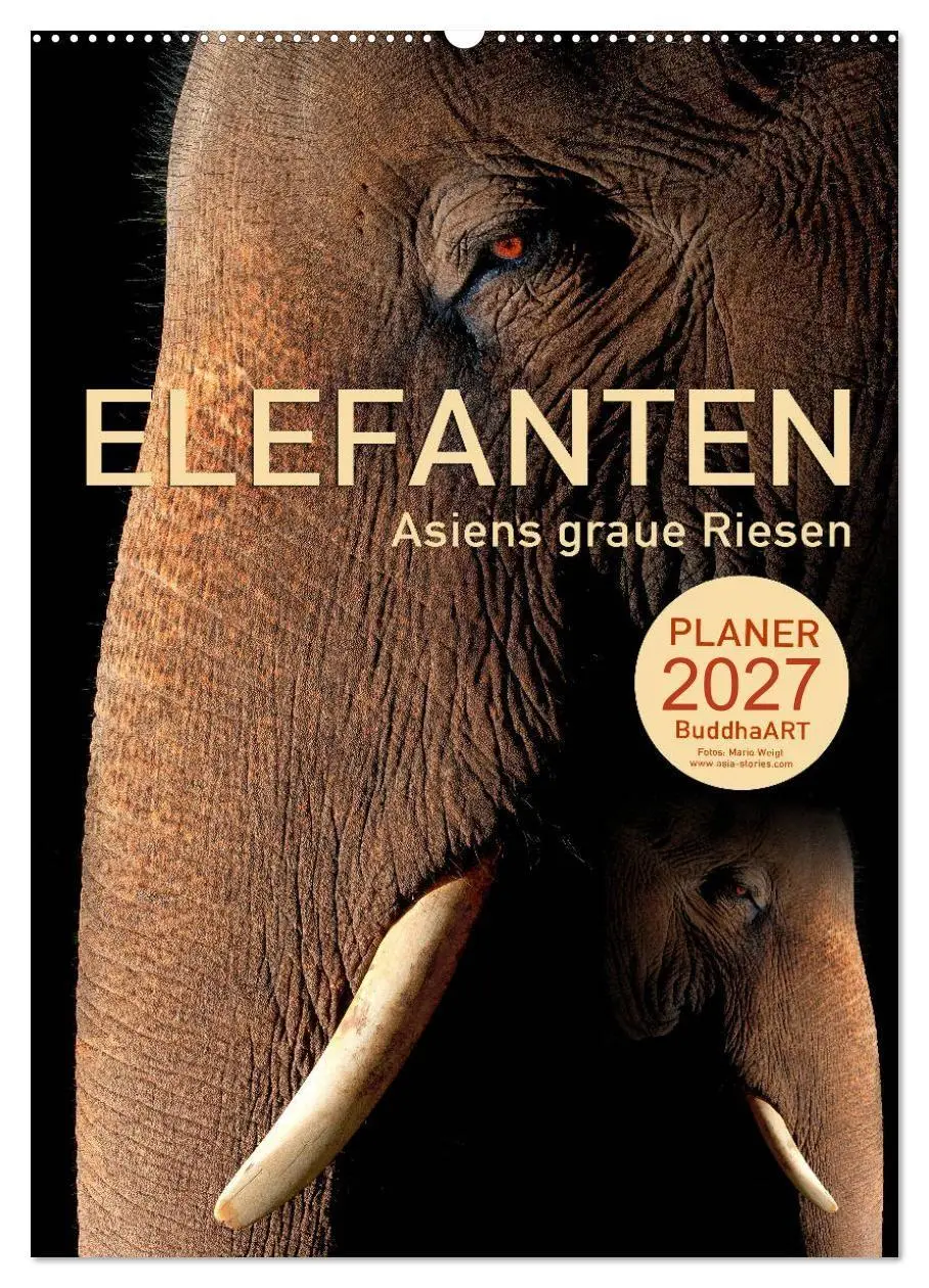 Cover: 9783569570795 | ELEFANTEN - Asiens graue Riesen (Wandkalender 2027 DIN A2 hoch),...