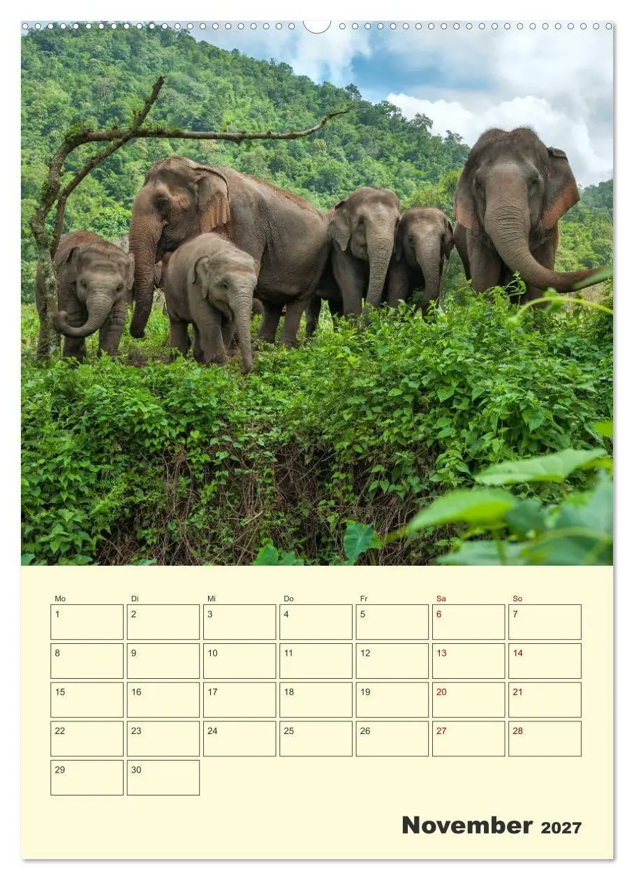 Bild: 9783569570795 | ELEFANTEN - Asiens graue Riesen (Wandkalender 2027 DIN A2 hoch),...