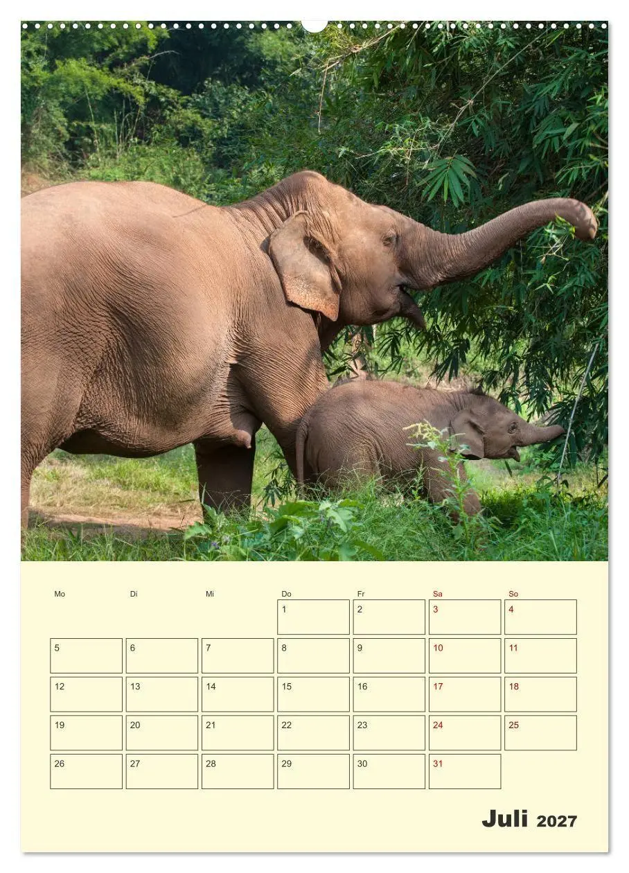 Bild: 9783569570795 | ELEFANTEN - Asiens graue Riesen (Wandkalender 2027 DIN A2 hoch),...