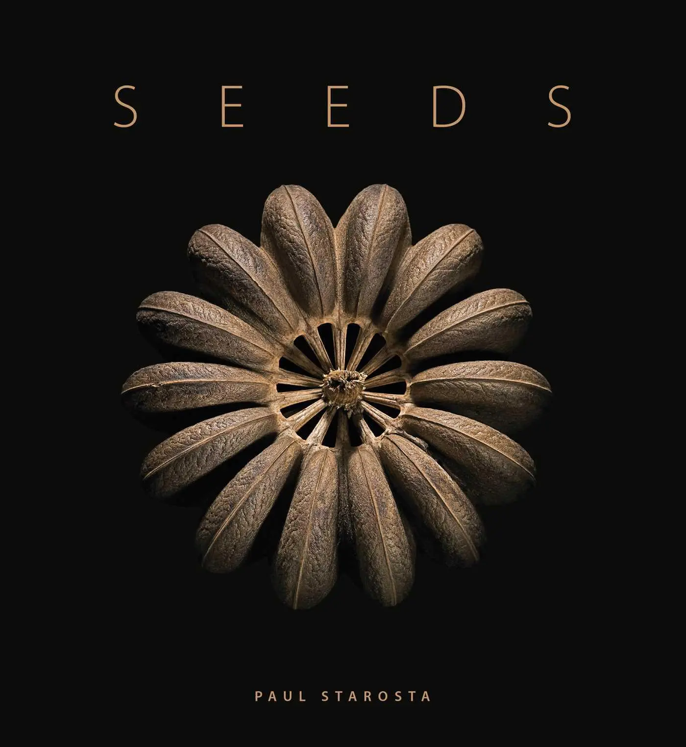 Cover: 9791254600795 | Seeds | Michel Butor | Buch | Englisch | 2025 | EAN 9791254600795