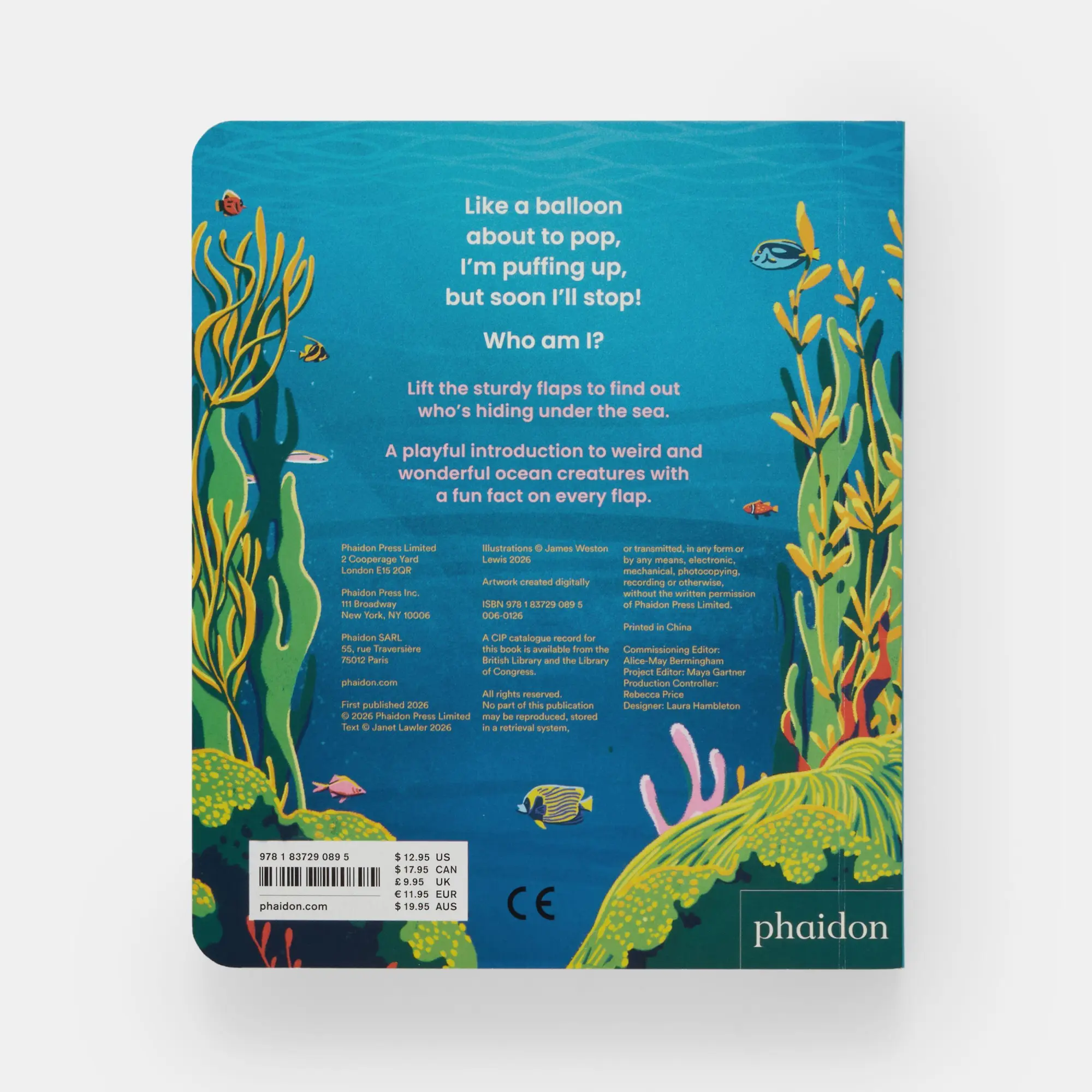 Bild: 9781837290895 | Who's Hiding Under the Sea? | A Lift-the-Flap Book | Janet Lawler