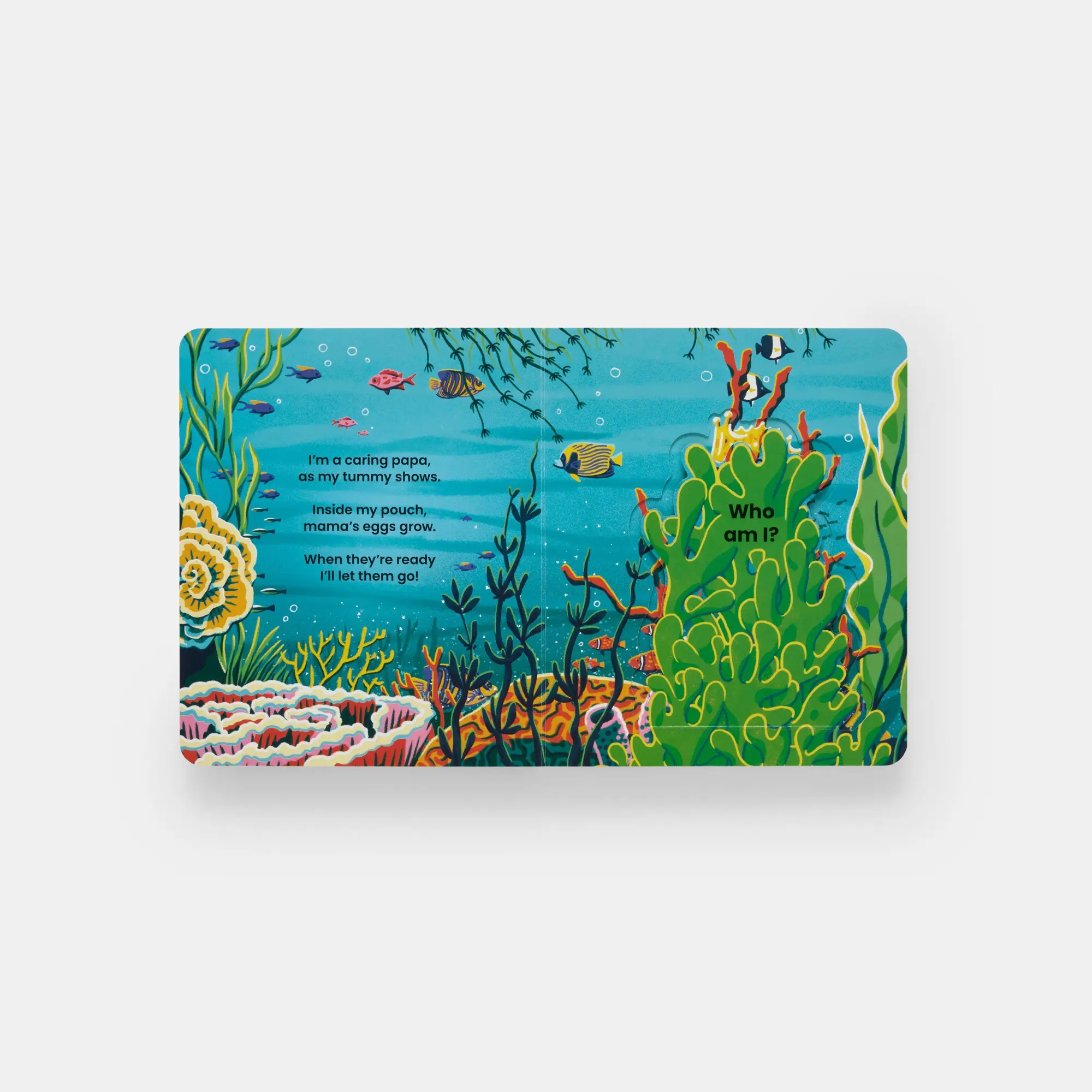 Bild: 9781837290895 | Who's Hiding Under the Sea? | A Lift-the-Flap Book | Janet Lawler