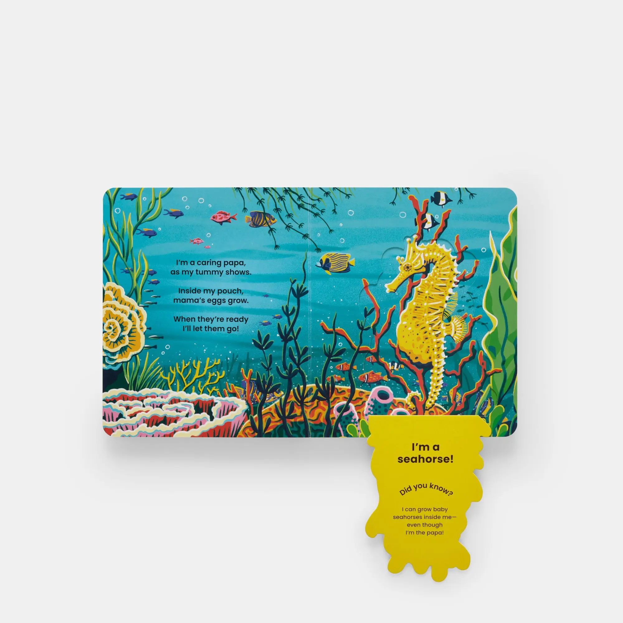 Bild: 9781837290895 | Who's Hiding Under the Sea? | A Lift-the-Flap Book | Janet Lawler