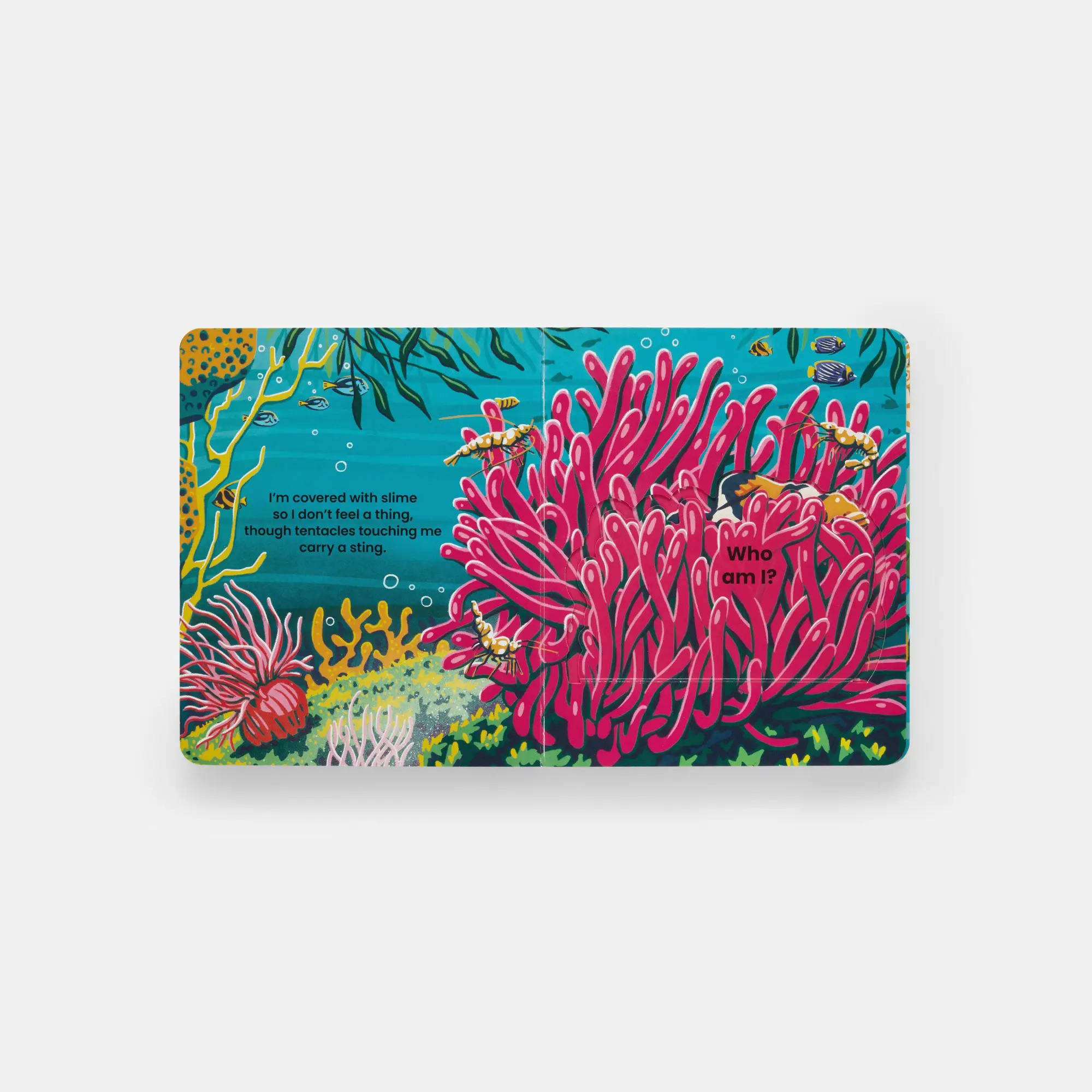 Bild: 9781837290895 | Who's Hiding Under the Sea? | A Lift-the-Flap Book | Janet Lawler