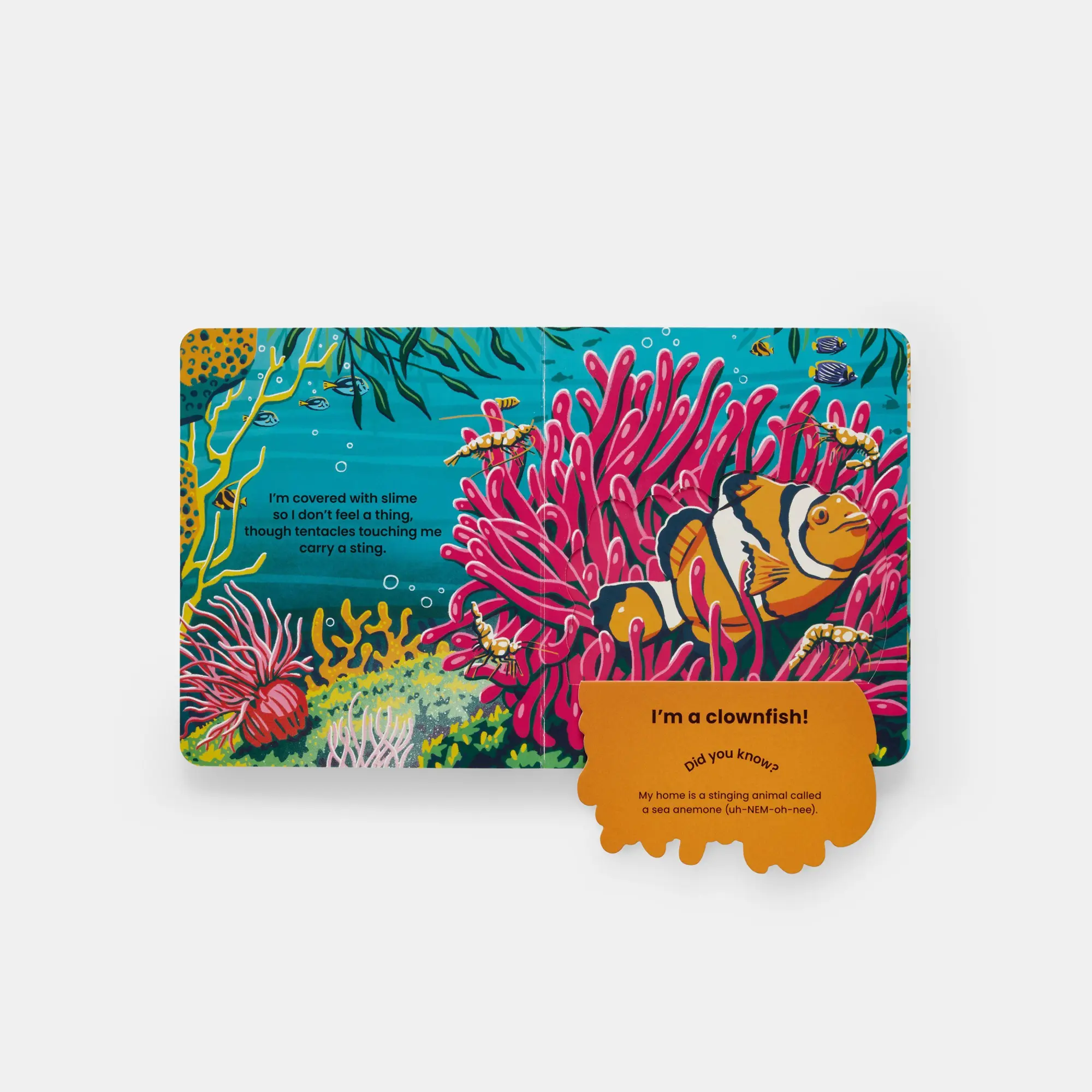 Bild: 9781837290895 | Who's Hiding Under the Sea? | A Lift-the-Flap Book | Janet Lawler