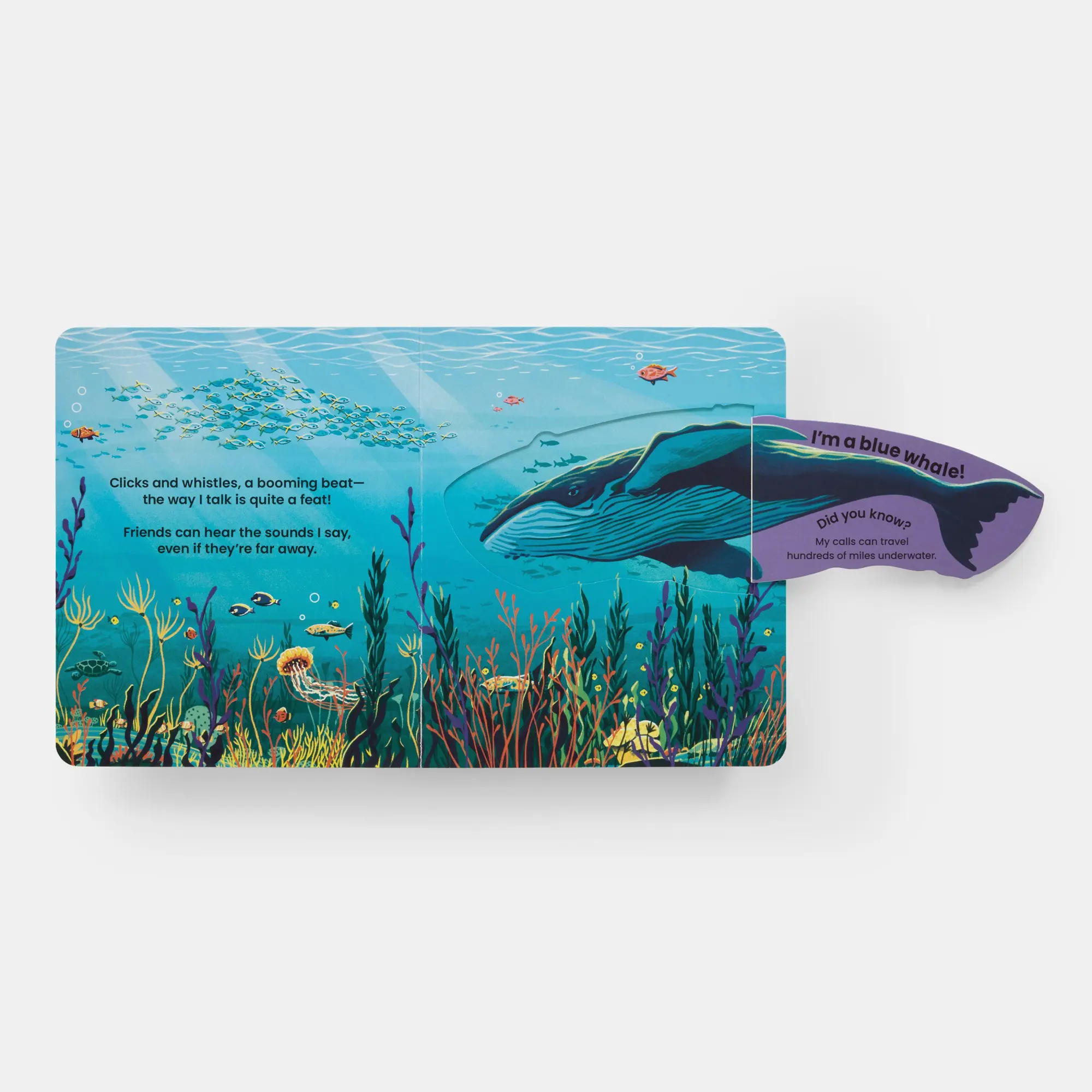Bild: 9781837290895 | Who's Hiding Under the Sea? | A Lift-the-Flap Book | Janet Lawler