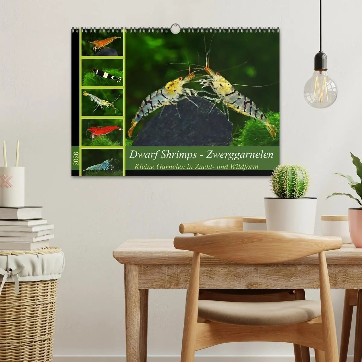 Bild: 9783457380895 | Dwarf Shrimps - Zwerggarnelen (Wandkalender 2026 DIN A3 quer),...