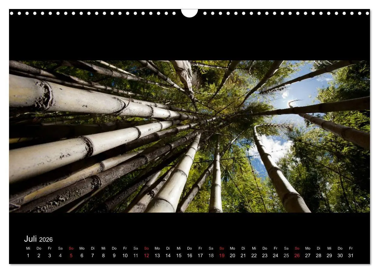 Bild: 9783516160895 | Patagonien - Ungezähmtes Land (Wandkalender 2026 DIN A3 quer),...