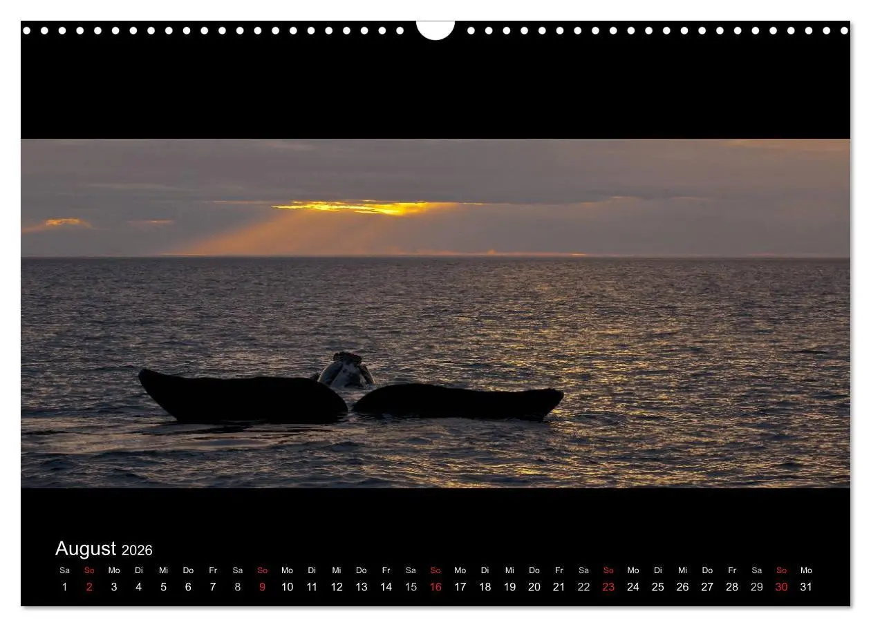 Bild: 9783516160895 | Patagonien - Ungezähmtes Land (Wandkalender 2026 DIN A3 quer),...