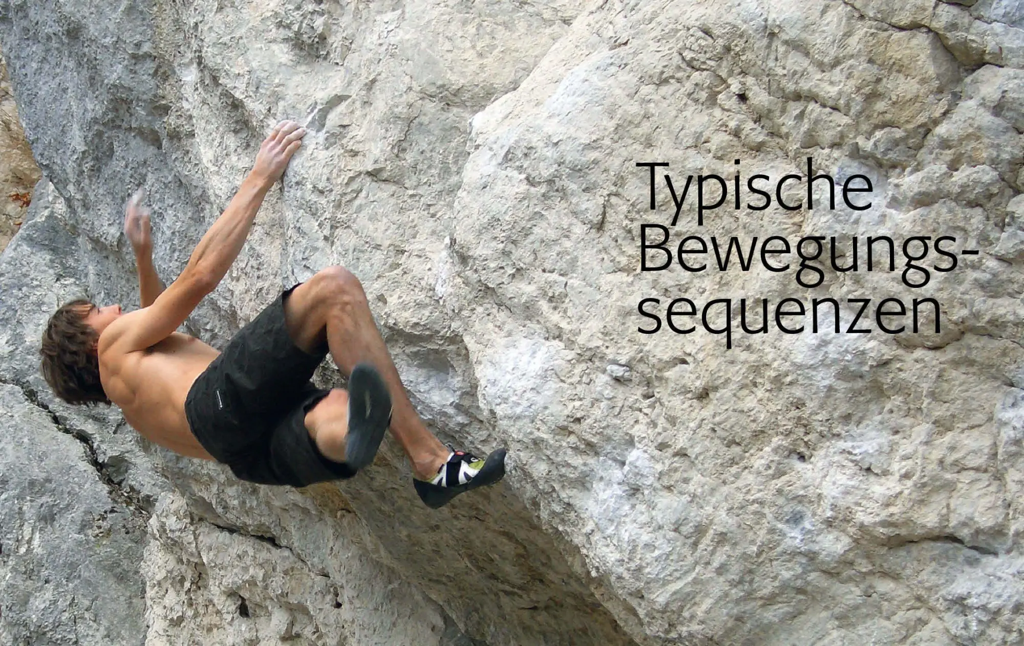 Bild: 9783763360895 | Alpin-Lehrplan 2: Klettern - Technik, Taktik, Psyche | Hoffmann | Buch