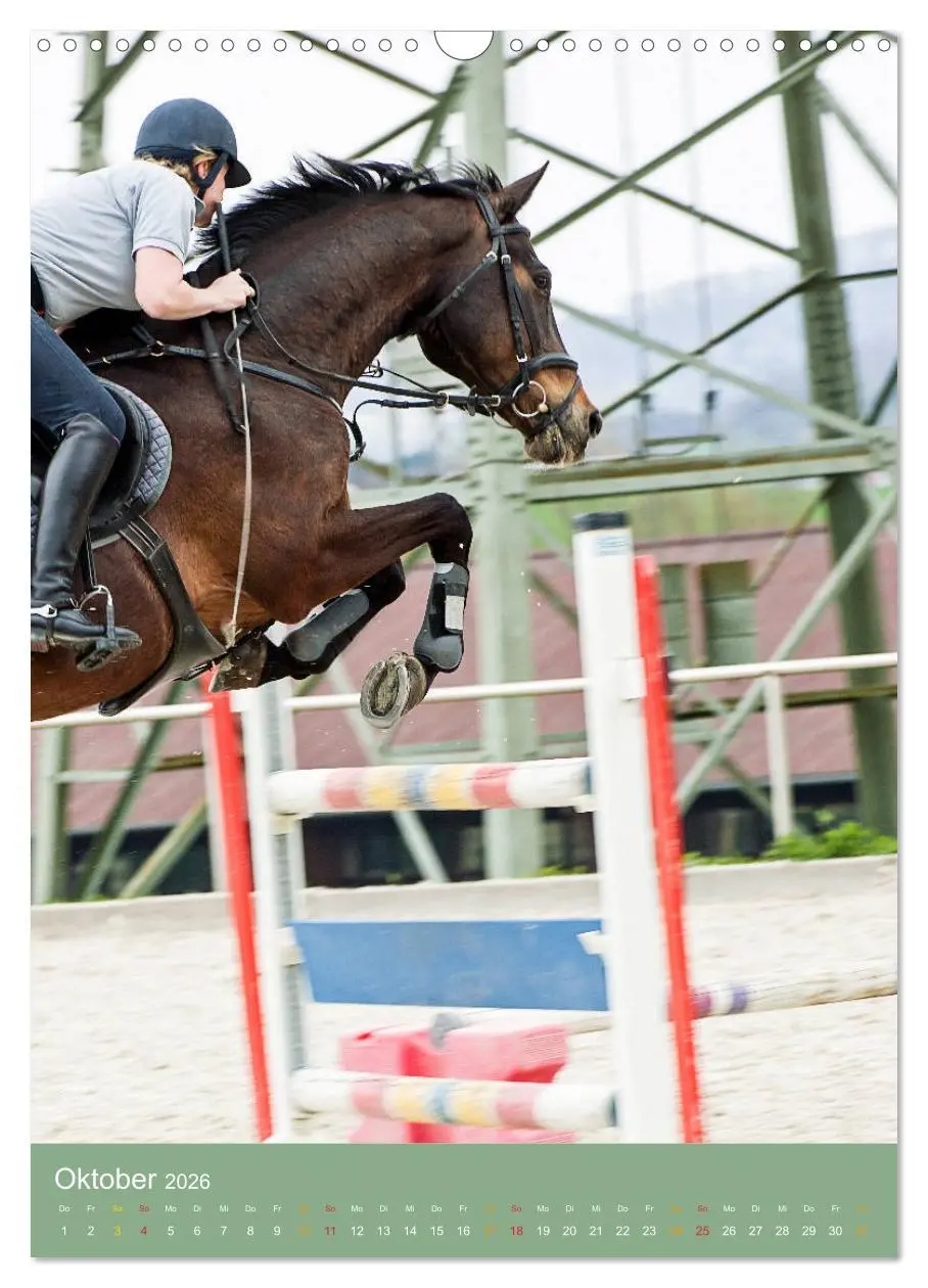 Bild: 9783516390995 | Springreiter in Aktion (Wandkalender 2026 DIN A3 hoch), CALVENDO...