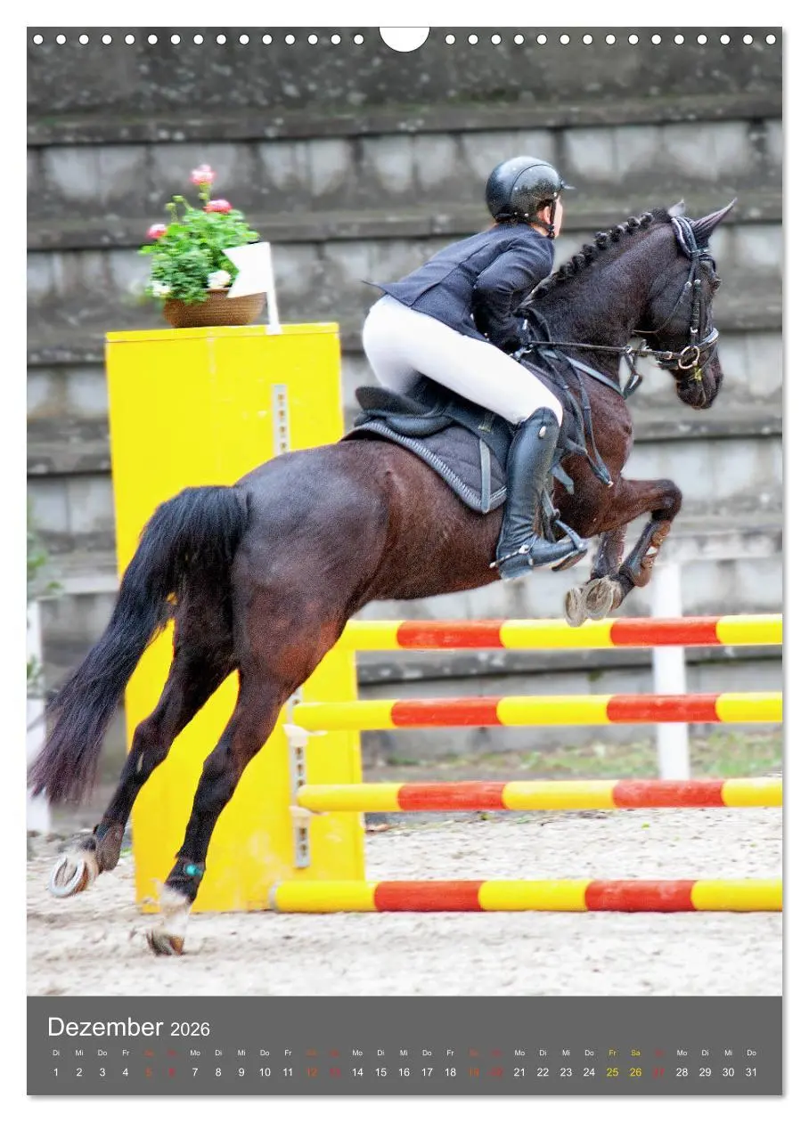 Bild: 9783516390995 | Springreiter in Aktion (Wandkalender 2026 DIN A3 hoch), CALVENDO...