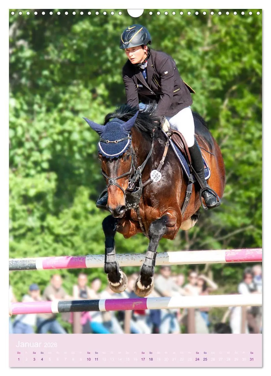 Bild: 9783516390995 | Springreiter in Aktion (Wandkalender 2026 DIN A3 hoch), CALVENDO...