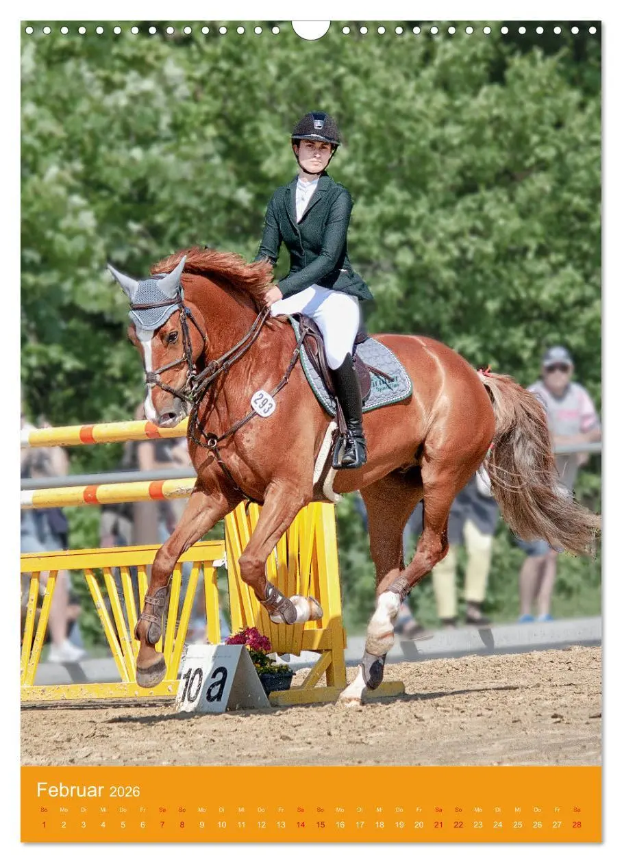 Bild: 9783516390995 | Springreiter in Aktion (Wandkalender 2026 DIN A3 hoch), CALVENDO...