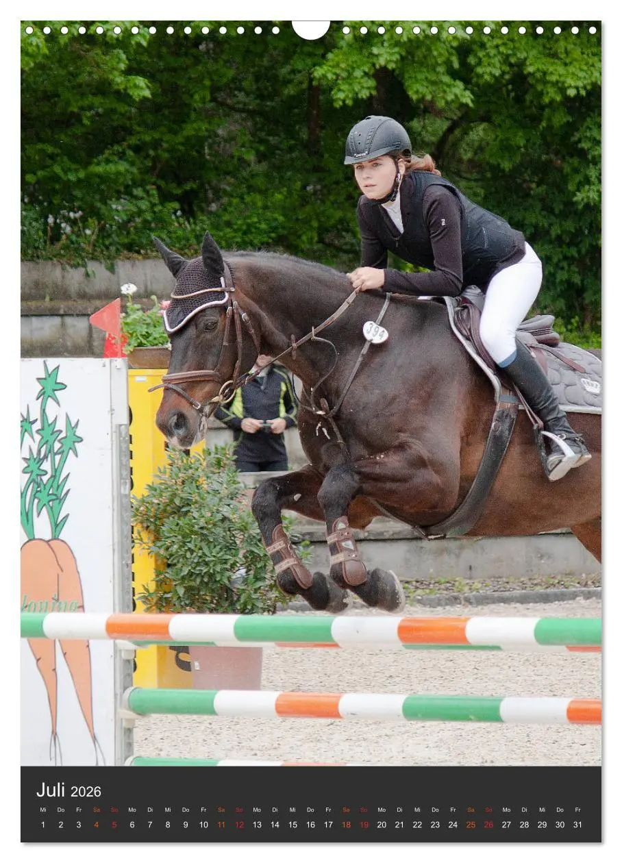Bild: 9783516390995 | Springreiter in Aktion (Wandkalender 2026 DIN A3 hoch), CALVENDO...