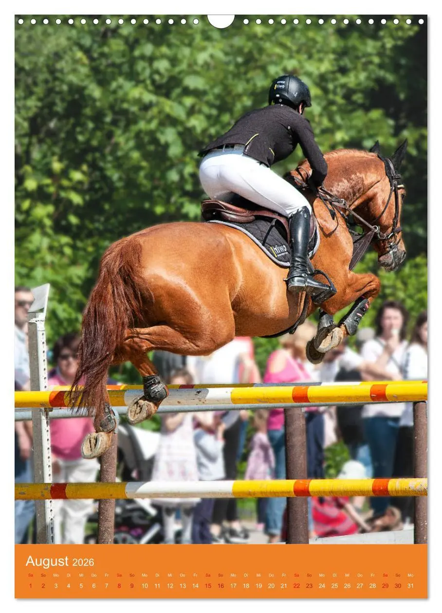 Bild: 9783516390995 | Springreiter in Aktion (Wandkalender 2026 DIN A3 hoch), CALVENDO...