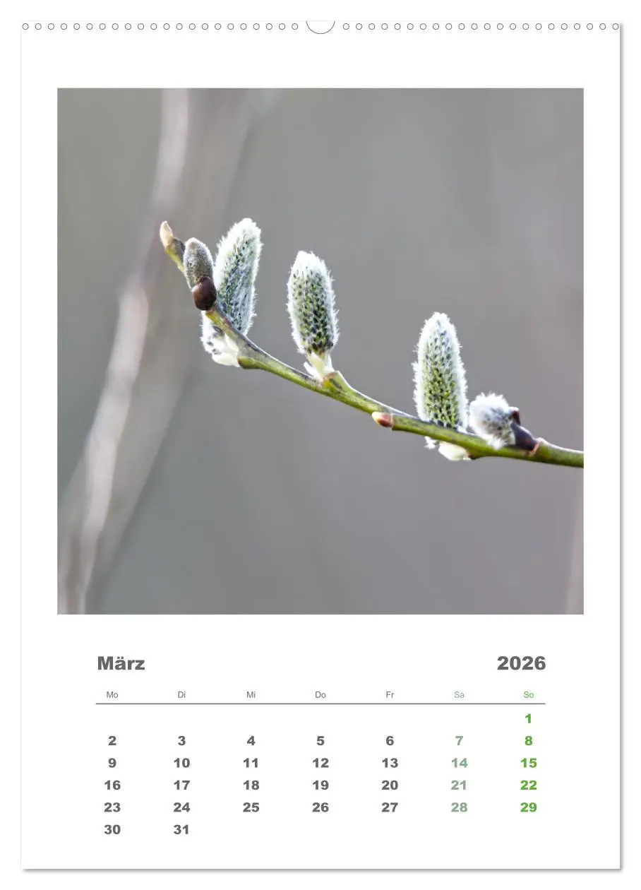 Bild: 9783516351095 | Minimalistisch, Gräser, Blüten, Blätter und Zweige im Fokus...