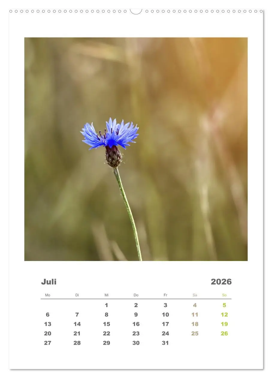 Bild: 9783516351095 | Minimalistisch, Gräser, Blüten, Blätter und Zweige im Fokus...