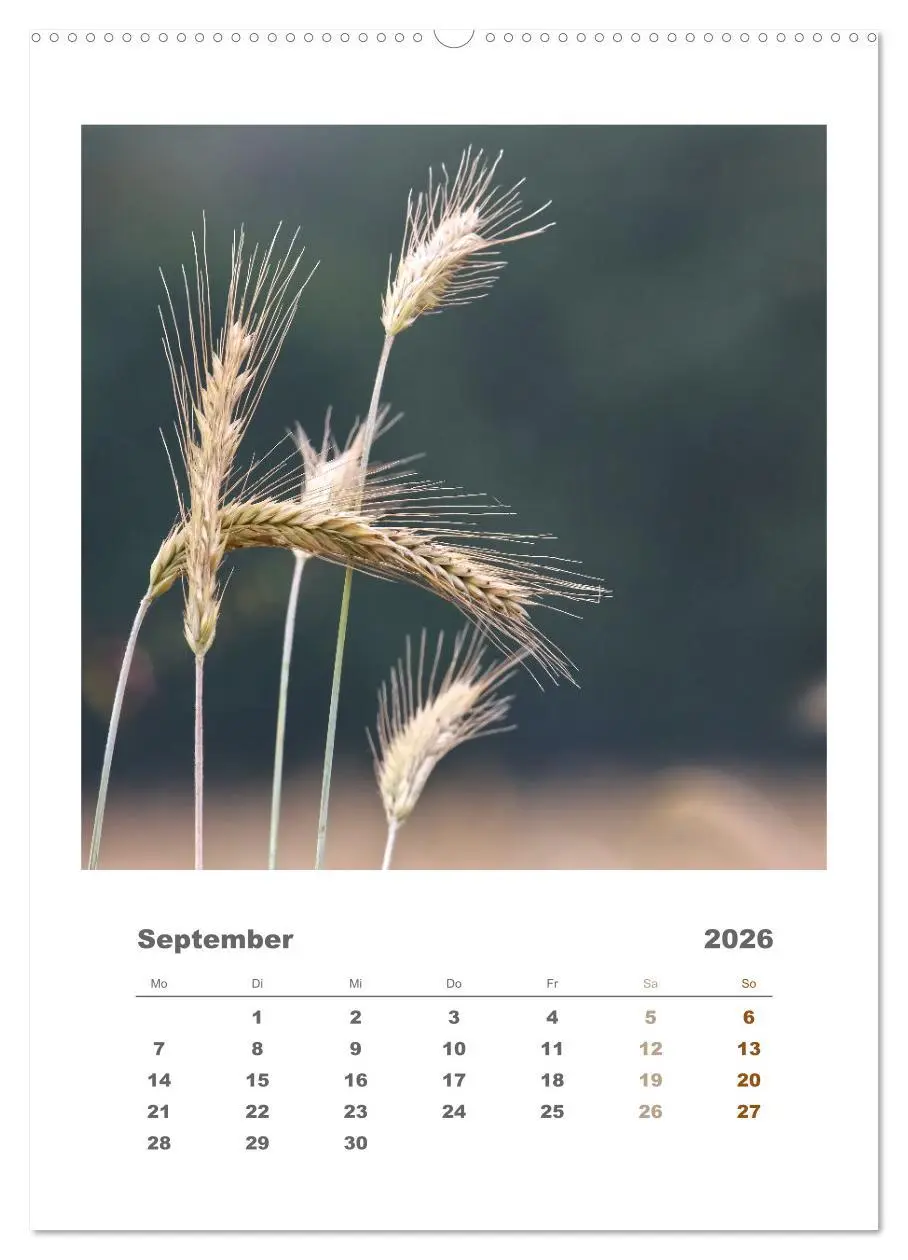 Bild: 9783516351095 | Minimalistisch, Gräser, Blüten, Blätter und Zweige im Fokus...