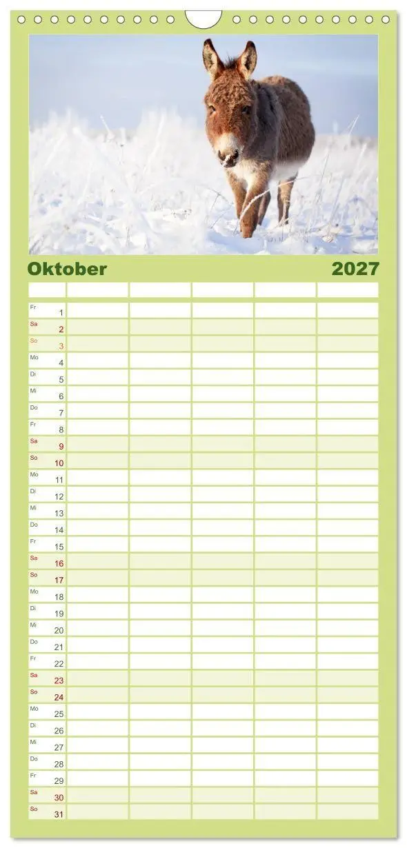 Bild: 9783594331095 | Familienplaner 2027 - Das Esel-Paradies - Hunde und andere Feunde...