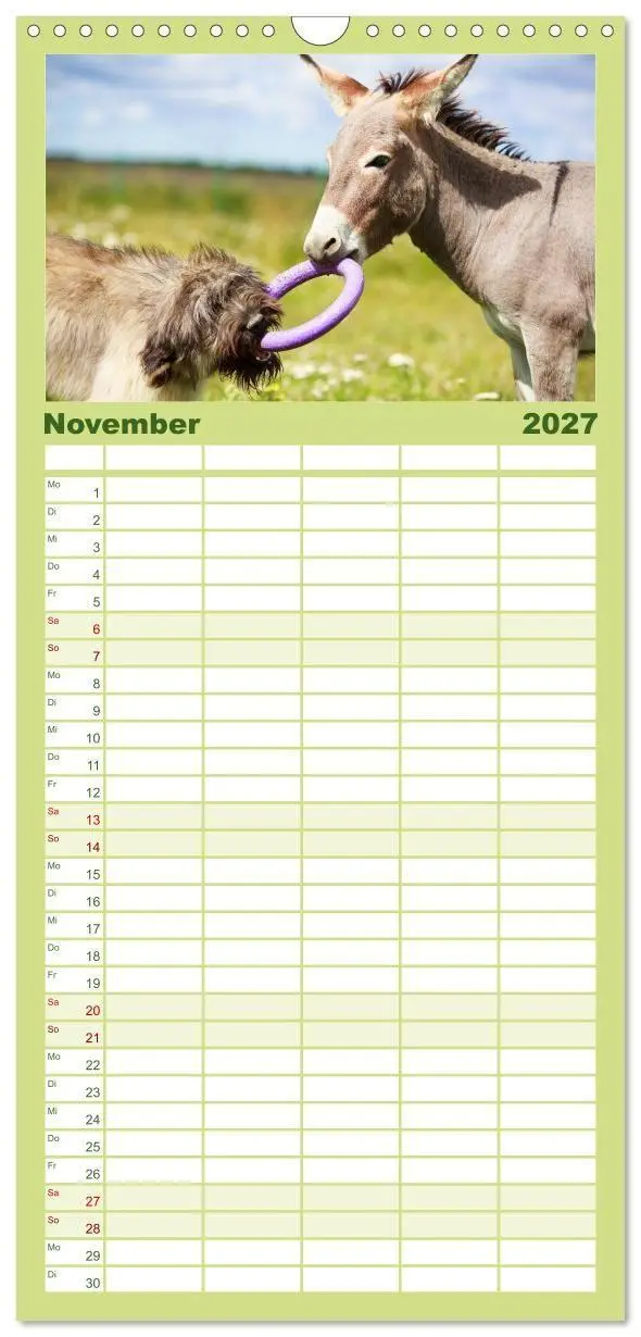 Bild: 9783594331095 | Familienplaner 2027 - Das Esel-Paradies - Hunde und andere Feunde...
