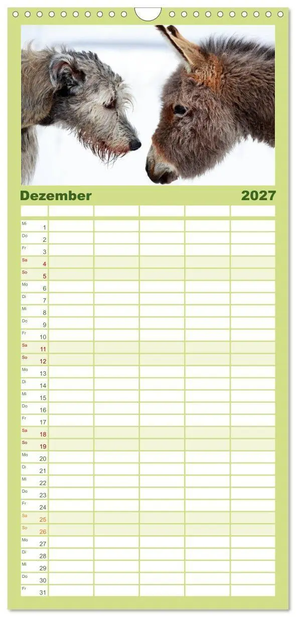 Bild: 9783594331095 | Familienplaner 2027 - Das Esel-Paradies - Hunde und andere Feunde...